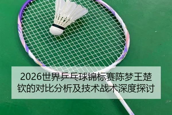 shi-jie-ping-pang-qiu-jin-biao-sai-chen-meng-wang-chu-qin-de-dui-bi-fen-xi-ji-ji-shu-zhan-shu-shen-du-tan-tao-2-378.jpg
