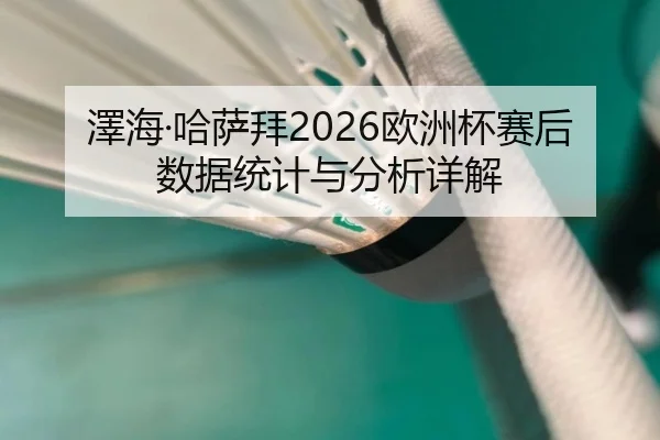 澤海·哈萨拜2026欧洲杯赛后数据统计与分析详解