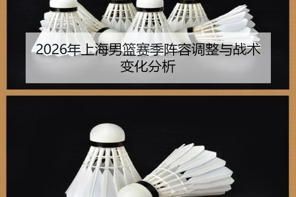 2026年上海男篮赛季阵容调整与战术变化分析